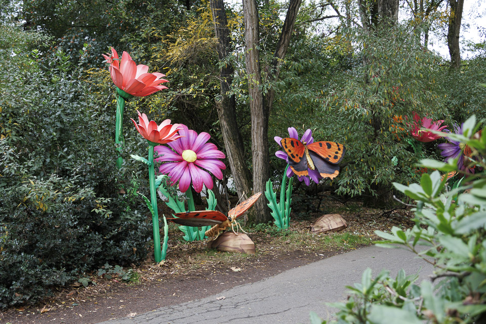 Woodland Park Zoo — photo 51